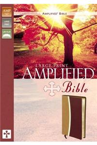 Large Print Bible-Am