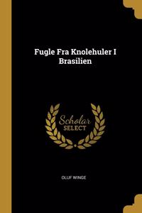 Fugle Fra Knolehuler I Brasilien