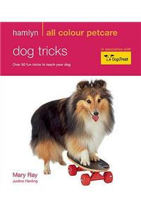 Dog Tricks