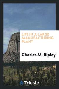 Life in a Large Manufacturing Plant