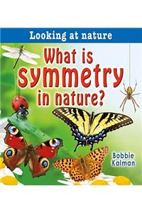 What Is Symmetry in Nature?