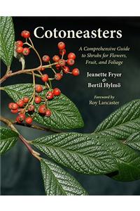 Cotoneasters