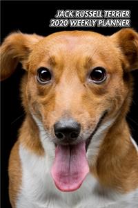 Jack Russell Terrier 2020 Weekly Planner