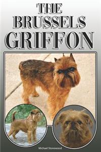 The Brussels Griffon