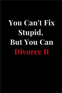 You Can't Fix Stupid, But You Can Divorce It