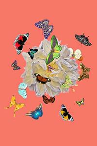 Butterfly Gathering Design