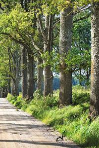 Old Country Road Journal