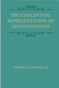 Conceptual Representation of Consciousness