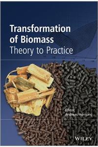 Transformation of Biomass