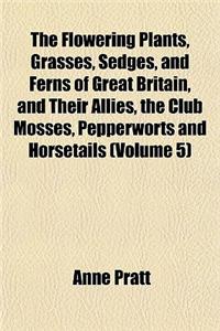 The Flowering Plants, Grasses, Sedges, and Ferns of Great Britain, and Their Allies, the Club Mosses, Pepperworts and Horsetails (Volume 5)