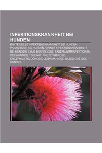 Infektionskrankheit Bei Hunden