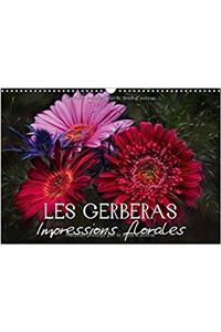 Gerberas Impressions Florales 2017