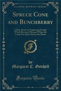 Spruce Cone and Bunchberry