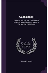 Guadaloupe: A Tale Of Love And War ... By One Who Served In The Campaign Of 1846-7, In The Late War With Mexico