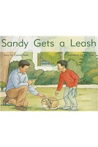 Sandy Gets a Leash