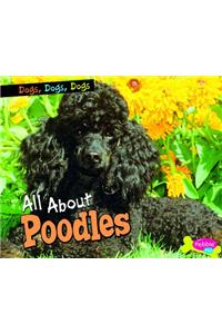 All About Poodles