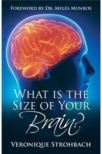 What Is the Size of Your Brain?