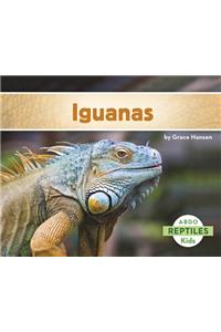 Iguanas