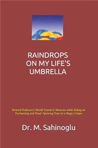 Raindrops on My Life's Umbrella