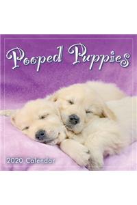 Pooped Puppies 2020 Calendar