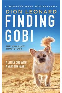 Finding Gobi
