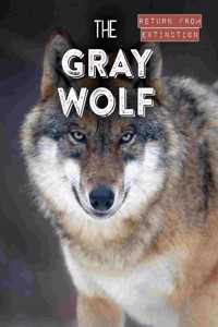 Gray Wolf