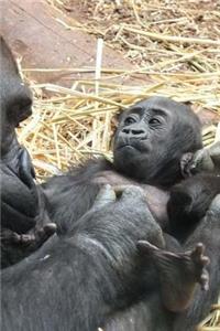 Adorable Baby Gorilla Journal