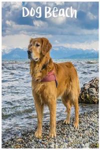 Dog Beach