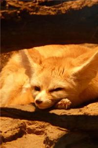 Fennec Fox Relaxng Journal