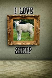 I Love Sheep