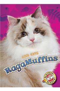 RagaMuffins