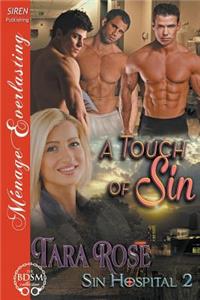 A Touch of Sin [Sin Hospital 2] (Siren Publishing Menage Everlasting)