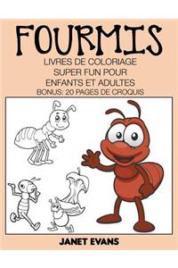 Fourmis