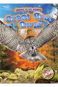 Great Gray Owls
