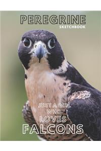 Peregrine falcon Sketchbook Large sketchbook for drawing 8.5 x 11 inch (21.59 x 27.94 cm) 150 pages