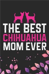 The Best Chihuahua Mom Ever