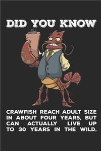 Did You Know?