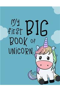 My first big book of Unicorn
