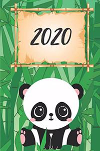 2020 Panda Termin-Kalender DIN A5