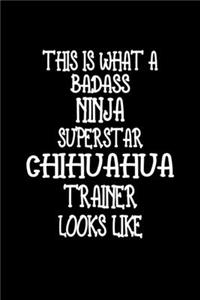 This Is What A Badass Ninja Superstar Chihuahua Trainer Looks Like