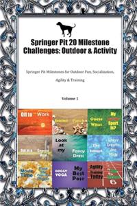 Springer Pit 20 Milestone Challenges