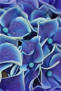 Hydrangea Notebook