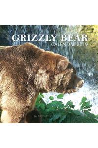 Grizzly Bear Calendar 2019