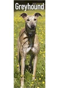 Greyhound Slim Calendar 2018 (Slim Standard)