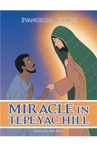 Miracle in Tepeyac Hill
