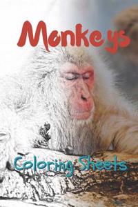 Monkey Coloring Sheets