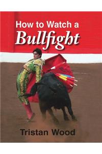 How to Watch a Bullfight