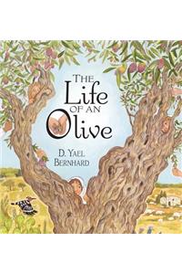 Life of an Olive