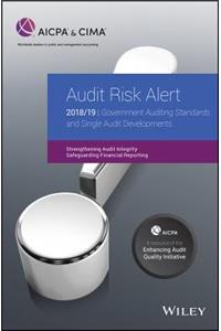Audit Risk Alert