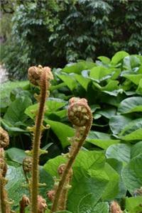 Ferns and Greenery in the Garden Journal